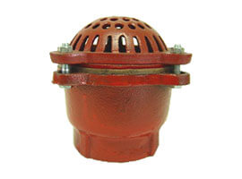 Strainer & Foot Valve